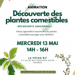 Tous au vert - Animation découverte des plantes comestibles sauvages